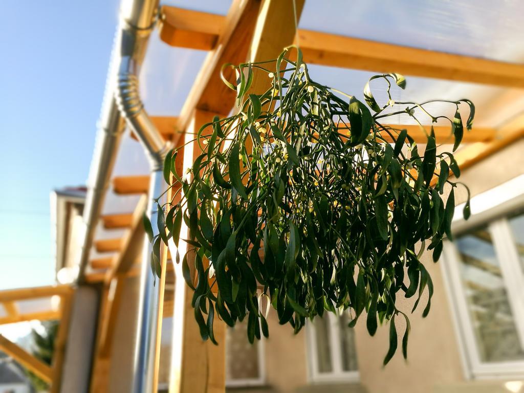 Apartmán Fagyoengy Sárvár Exteriér fotografie